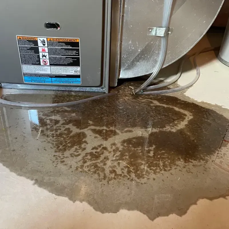 Appliance Leak Cleanup in Lumber City, GA